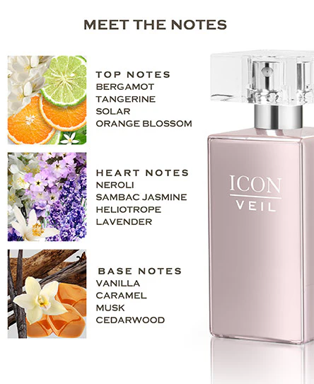 תמונה ממוזערת 2
